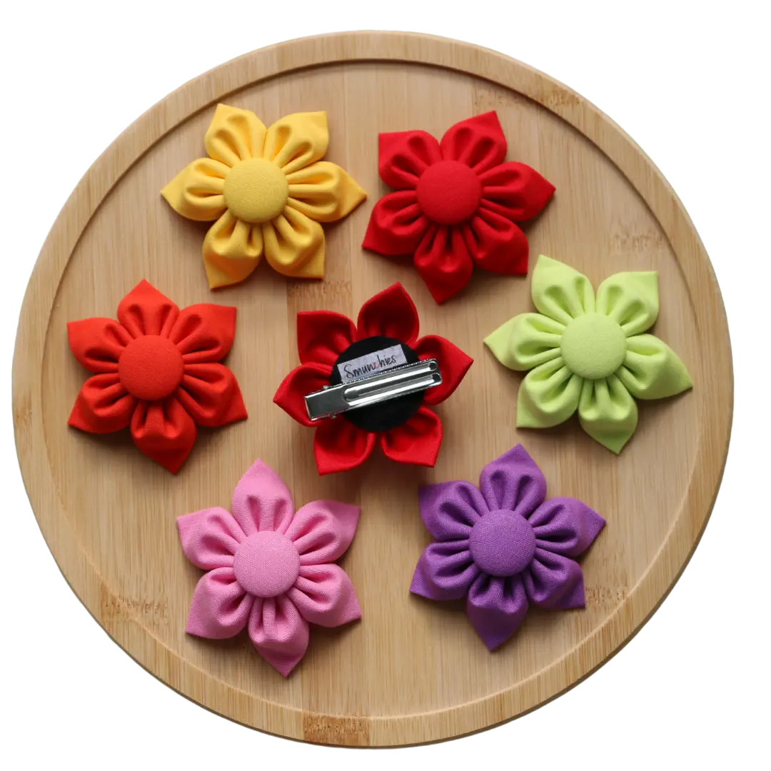 Colorful Plain Hair Clips Smunchies.com.au